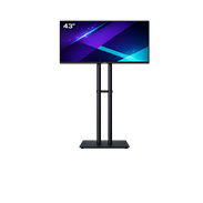 TV 43”
